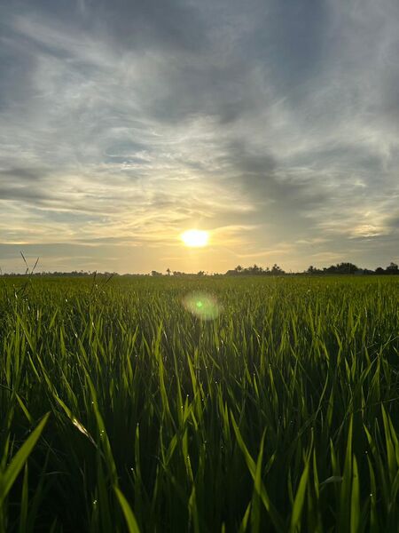 File:WhatsApp Image 2025-12-27 at 5.13.07 PM (1).jpg